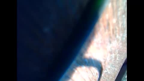 Snapshot of johnjohn6226623 chatting on March 6, 4:49 pm johnjohn6226 online show from March 6, 4:49 pm