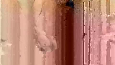 jonathanrossmyers858 online show from January 21, 3:48 am