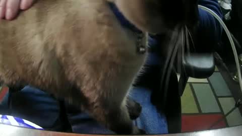 jonsexy1958 online show from January 6, 11:31 pm