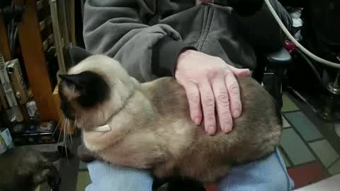 jonsexy1958 online show from January 16, 6:06 pm