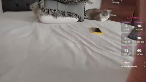 Will online show from March 25, 11:44 pm