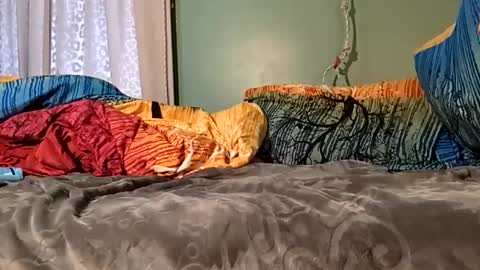 Snapshot of jorjina_x_mckie chatting on January 9, 8:22 pm jorjina_x_mckie online show from January 9, 8:22 pm