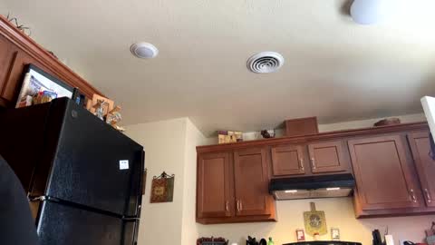 sissy josphine online show from January 17, 8:22 pm