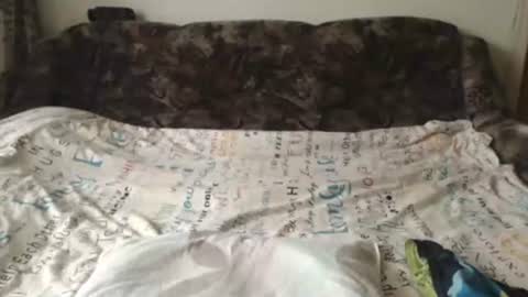 Snapshot of joy4women chatting on September 12, 10:04 am joy4women online show from September 12, 10:04 am