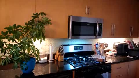 ... online show from October 30, 9:04 pm