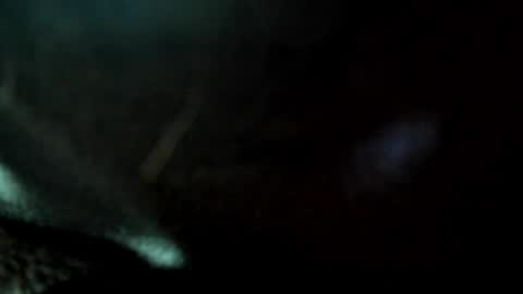 Snapshot of juanmanuelgate chatting on May 24, 10:53 am Juan Manuel online show from May 24, 10:53 am