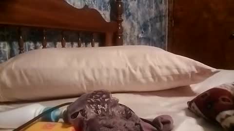 juicyj322 online show from January 19, 9:11 am