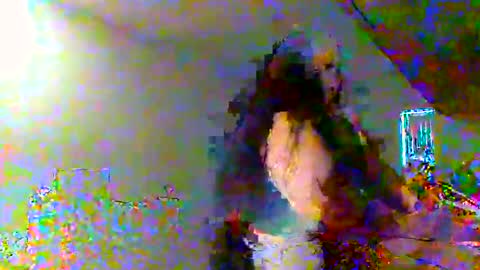 juicylatinabbw online show from February 20, 4:07 pm