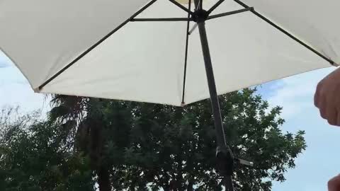 Julie and TheAverageGuy aka Max online show from September 19, 1:45 pm