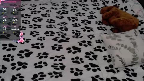 Snapshot of julieqt chatting on February 16, 6:21 am julieqt online show from February 16, 6:21 am