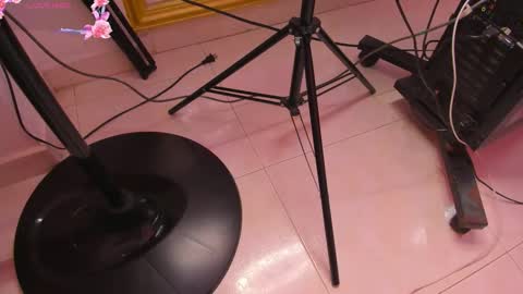 Snapshot of julietakane chatting on January 17, 5:12 am julietakane online show from January 17, 5:12 am