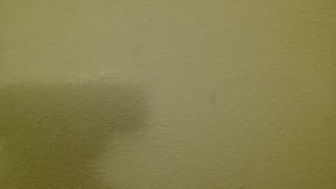 Just marlon online show from March 3, 8:21 pm