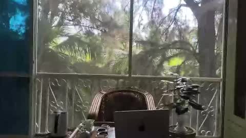 just_place online show from December 2, 6:19 am