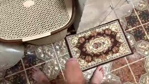 Snapshot of justin950116 chatting on December 15, 7:18 pm justin950116 online show from December 15, 7:18 pm