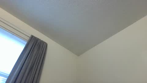 Cookie Monster online show from December 28, 12:56 pm