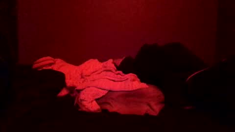 Snapshot of justsomenegus chatting on March 8, 2:19 pm Call me Just online show from March 8, 2:19 pm