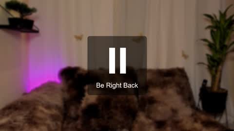 Kaaiiri online show from November 7, 11:10 am