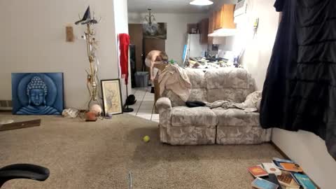 Snapshot of kaiku77 chatting on November 30, 5:44 am Kaiku77 online show from November 30, 5:44 am