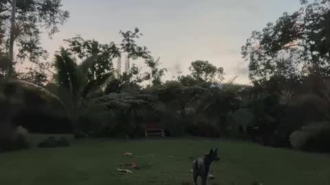 Kailee Smile online show from April 24, 4:15 am