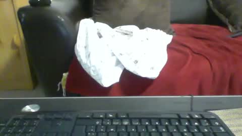 Snapshot of kamkiko69 chatting on December 9, 12:51 pm kamkiko69 online show from December 9, 12:51 pm