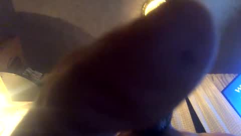 Tucker online show from September 23, 8:06 am