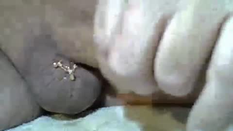 Kangarooh66 online show from November 24, 7:52 am