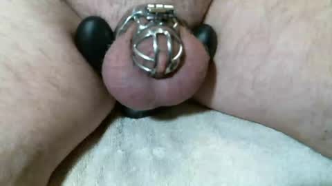 KC Cam online show from January 12, 2:44 pm