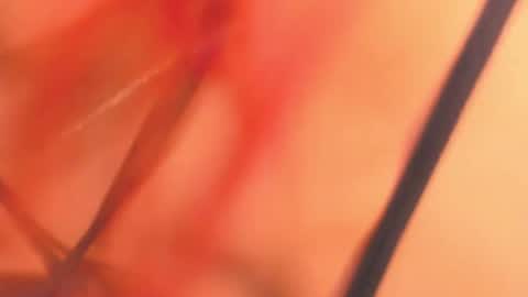 KarinaBelov  online show from February 18, 8:16 am