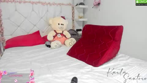 Snapshot of karla_santoro chatting on December 16, 1:21 am Karla Santoro online show from December 16, 1:21 am