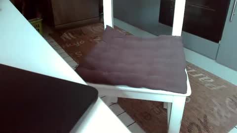 Snapshot of karlodi chatting on January 1, 11:05 am Kev online show from January 1, 11:05 am