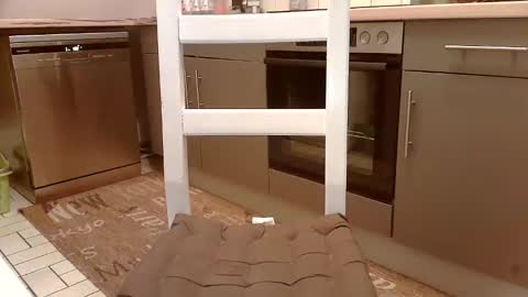 Snapshot of karlodi chatting on February 16, 5:04 pm Kev online show from February 16, 5:04 pm