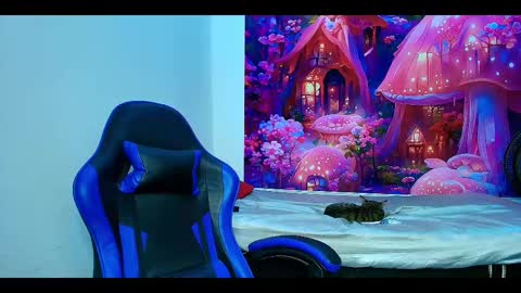    online show from October 23, 10:03 am