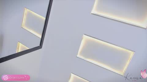 Snapshot of kassia_kim chatting on November 25, 5:07 am Kassia online show from November 25, 5:07 am