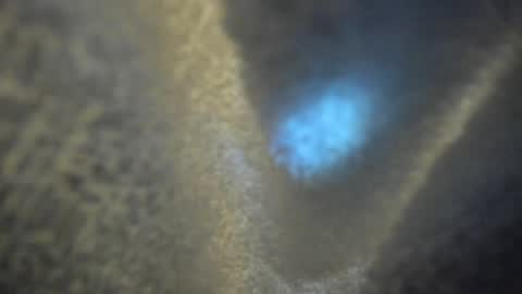 Kate  online show from April 16, 10:16 am