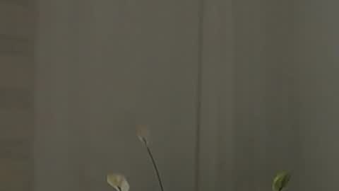 Snapshot of katejolie chatting on February 2, 7:52 am Help me with rate thanks online show from February 2, 7:52 am