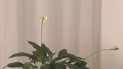 Snapshot of katejolie chatting on March 2, 4:39 am Help me with rate thanks online show from March 2, 4:39 am