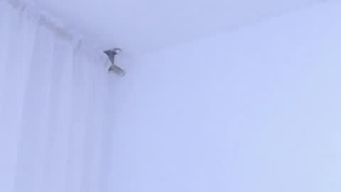 Snapshot of katejolie chatting on January 8, 2:58 am Help me with rate thanks online show from January 8, 2:58 am