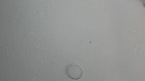 Snapshot of katestone_again chatting on January 17, 3:32 pm love meeee online show from January 17, 3:32 pm