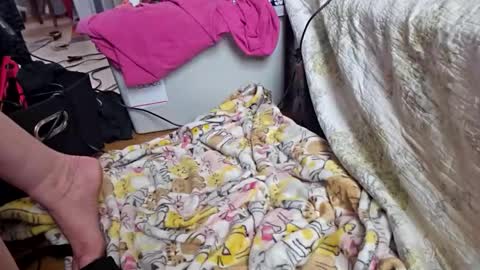 katladyzsafespace online show from December 4, 5:54 pm