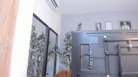 Snapshot of kattejordan chatting on January 18, 10:28 am Katerine online show from January 18, 10:28 am