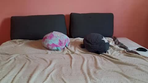 katusha008 online show from March 31, 2:17 pm