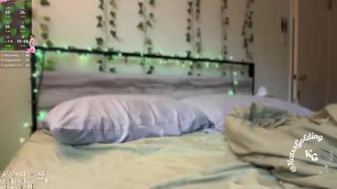 Snapshot of katxxgolding chatting on November 14, 11:24 pm Princesse Kat online show from November 14, 11:24 pm