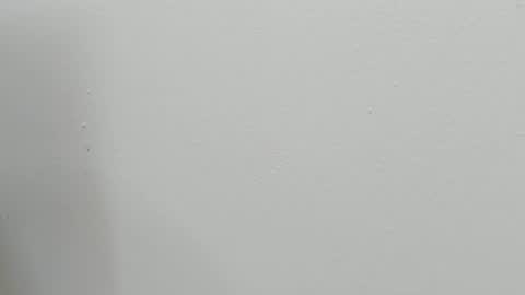 Snapshot of katy_and_paola chatting on October 28, 7:49 pm katy blonde girl and paola big boobs online show from October 28, 7:49 pm