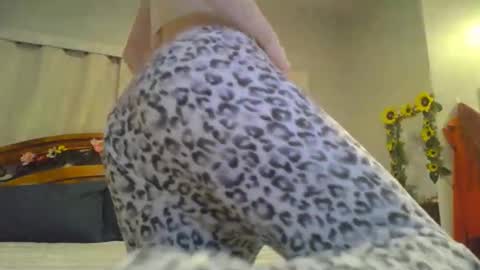 Snapshot of katynowhere chatting on January 24, 1:45 am Katy online show from January 24, 1:45 am