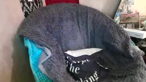 Kennedy Nova  online show from December 20, 9:22 pm