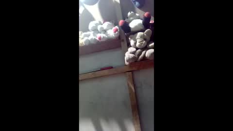 kevin_07279101 online show from March 4, 4:40 am