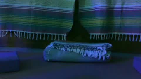 Snapshot of kim_kim69 chatting on October 13, 12:49 pm Kim online show from October 13, 12:49 pm