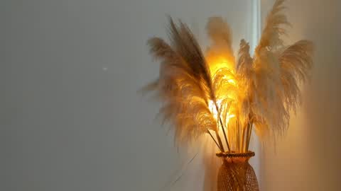 Kim Murphy online show from December 31, 12:36 pm