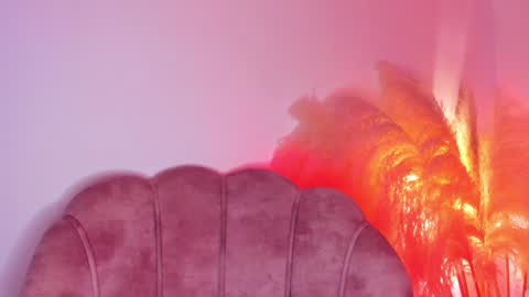 Kim Murphy online show from February 2, 12:24 pm