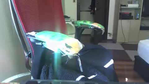 Snapshot of kinchan069 chatting on February 5, 2:08 am kinchan069 online show from February 5, 2:08 am